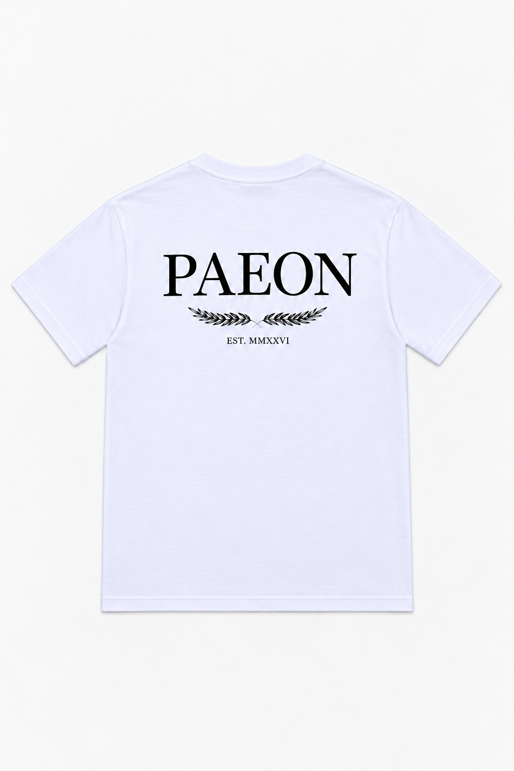 005 / GREEK PLATE TEE — back